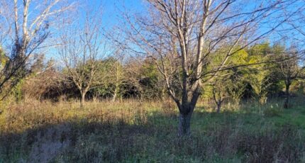 Cruas Terrain à bâtir - 2378176-812annonce220251229FtEOo.jpeg Maisons Open