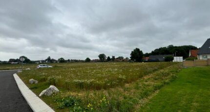 Wardrecques Terrain à bâtir - 2377246-11655annonce120251229fPwqn.jpeg Maisons Open