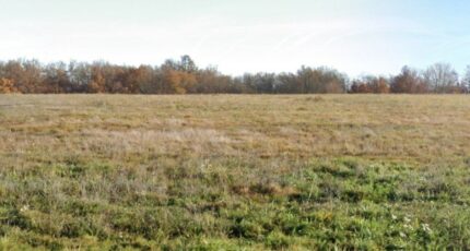 Labastide-Saint-Sernin Terrain à bâtir - 2377138-5604annonce220251229ez31v.jpeg Maisons Open