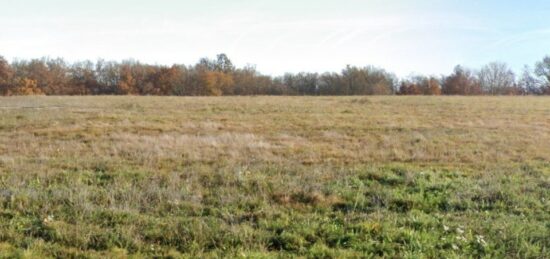 Terrain à bâtir à , Haute-Garonne