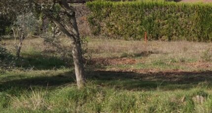 Oraison Terrain à bâtir - 2380431-9917annonce120260105vGwIt.jpeg Maisons Open