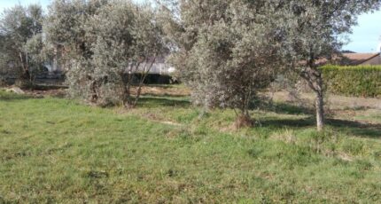 Oraison Terrain à bâtir - 2380431-9917annonce220260105w7LWz.jpeg Maisons Open