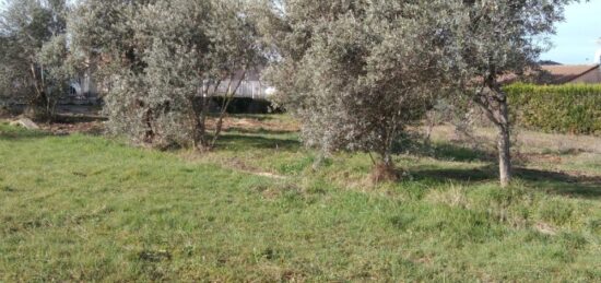 Terrain à bâtir à , Alpes-de-Haute-Provence