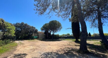 Castries Terrain à bâtir - 2383656-3243annonce320250917SAISO.jpeg Maisons Open