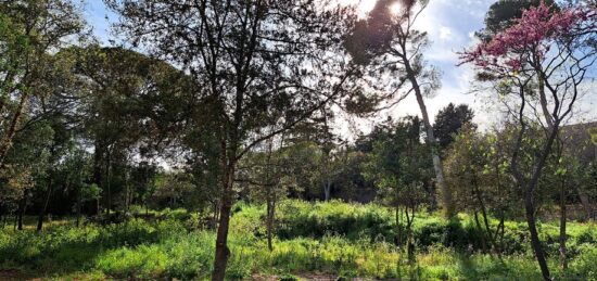 Terrain à bâtir à , Hérault