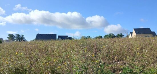 Terrain à bâtir à Pont-l'Évêque, Normandie