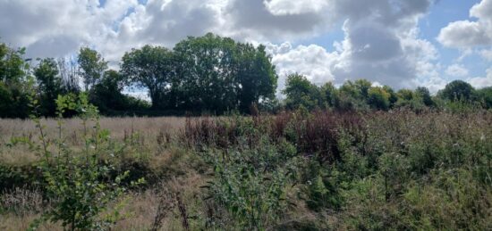 Terrain à bâtir à , Calvados