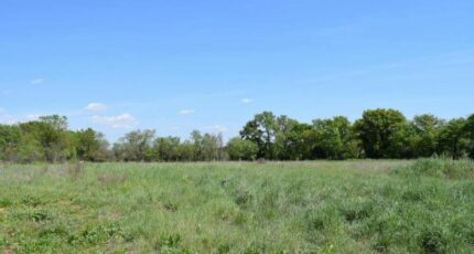 Galargues Terrain à bâtir - 2383876-3243annonce220250510McpFB.jpeg Maisons Open