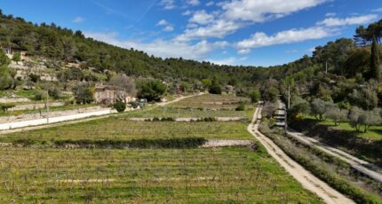 Cotignac Terrain à bâtir - 2384124-10744annonce120250528l9rnT.jpeg Maisons Open