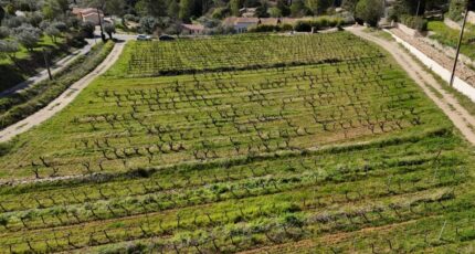 Cotignac Terrain à bâtir - 2384146-10744annonce120250131lvqKV.jpeg Maisons Open