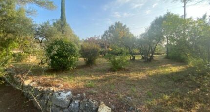 Carcès Terrain à bâtir - 2384762-10295annonce220260107yoWqQ.jpeg Maisons Open