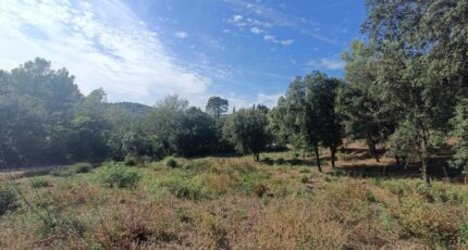 Taradeau Terrain à bâtir - 2384968-9911annonce120260107qcozx.jpeg Maisons Open