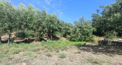 Taradeau Terrain à bâtir - 2384968-9911annonce4202601077VU18.jpeg Maisons Open