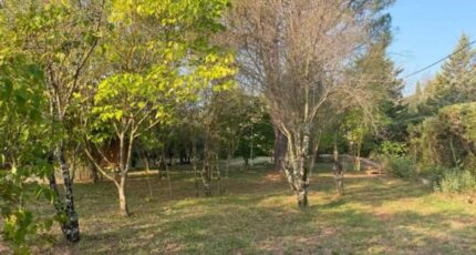 Carcès Terrain à bâtir - 2385048-11157annonce220260107TD2dA.jpeg Maisons Open