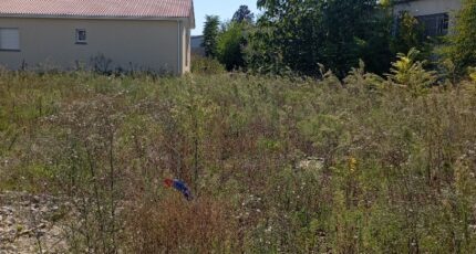 Bourg-de-Péage Terrain à bâtir - 2386372-11248annonce420260109yllOu.jpeg Maisons Open
