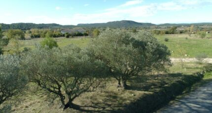 Lecques Terrain à bâtir - 2386459-3243annonce220250510n3Inc.jpeg Maisons Open