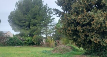 Cheval-Blanc Terrain à bâtir - 2379824-417annonce1202601026ZeW0.jpeg Maisons Open