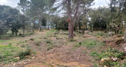 Montfort-sur-Argens Terrain à bâtir - 2385434-11137annonce120250708bPdSo.jpeg Maisons Open