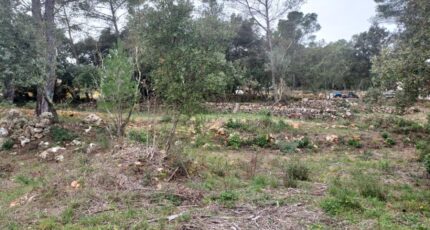 Montfort-sur-Argens Terrain à bâtir - 2385434-11137annonce220250708G8yO8.jpeg Maisons Open