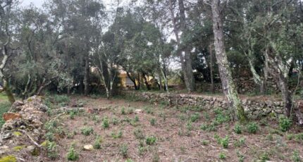 Montfort-sur-Argens Terrain à bâtir - 2385434-11137annonce320250708978Qr.jpeg Maisons Open