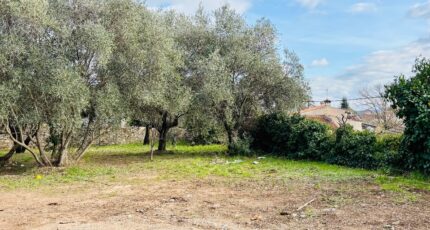 Cuers Terrain à bâtir - 2390304-4866annonce120260113eFTuH.jpeg Maisons Open