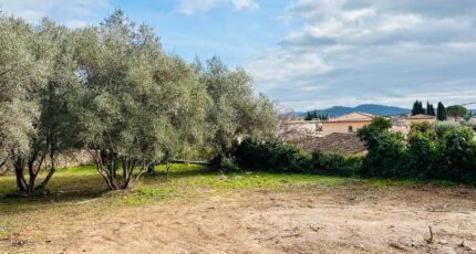 Cuers Terrain à bâtir - 2390304-4866annonce220260113H2ilS.jpeg Maisons Open