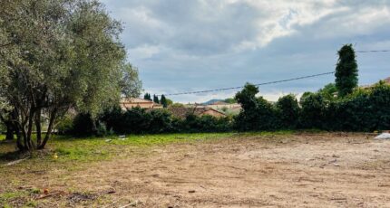 Cuers Terrain à bâtir - 2390304-4866annonce520260113VOp5y.jpeg Maisons Open