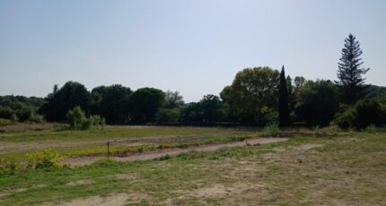 Aubais Terrain à bâtir - 2366494-11040annonce120251212MnQ71.jpeg Maisons Open