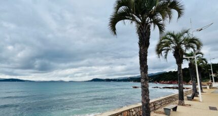 Carqueiranne Terrain à bâtir - 2391782-4866annonce120260113DcJa1.jpeg Maisons Open