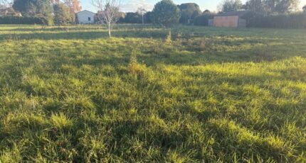 Pompignan Terrain à bâtir - 2391227-11356annonce120260113f4u9H.jpeg Maisons Open