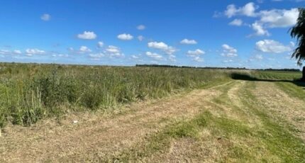 Lantheuil Terrain à bâtir - 2336207-10282annonce120250717sV0JC.jpeg Maisons Open