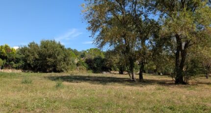 Châteauneuf-Grasse Terrain à bâtir - 2393068-9270annonce120250113dzEHl.jpeg Maisons Open