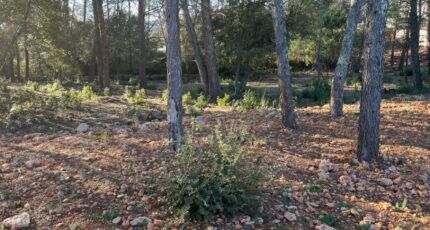 Trans-en-Provence Terrain à bâtir - 2394097-3951annonce120260115nsris.jpeg Maisons Open