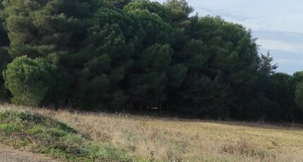 Autignac Terrain à bâtir - 2395483-11018annonce220260116W3rxv.jpeg Maisons Open