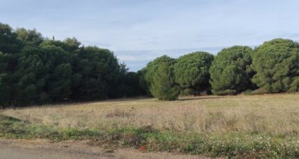 Autignac Terrain à bâtir - 2395483-11018annonce320260116FnPlJ.jpeg Maisons Open