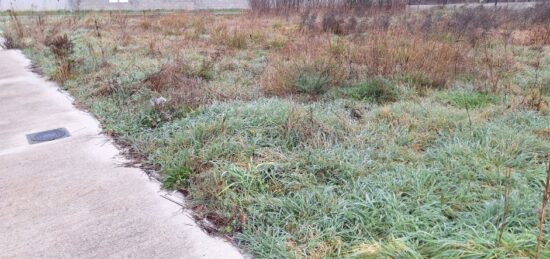 Terrain à bâtir à Plaisance-du-Touch, Occitanie