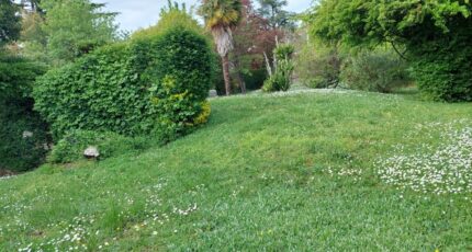 Montrabé Terrain à bâtir - 2395301-5604annonce520260116x7mfK.jpeg Maisons Open