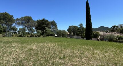 La Crau Terrain à bâtir - 2397101-4590annonce320260119xEelr.jpeg Maisons Open