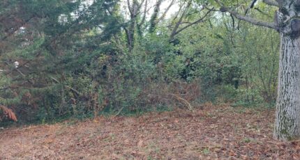 Beaupuy Terrain à bâtir - 2395955-5604annonce120260116Pbkuv.jpeg Maisons Open