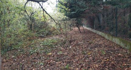 Beaupuy Terrain à bâtir - 2395955-5604annonce220260116e9Hst.jpeg Maisons Open