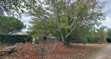 Beaupuy Terrain à bâtir - 2395955-5604annonce520260116lVE31.jpeg Maisons Open