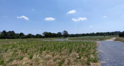 Juigné-sur-Loire Terrain à bâtir - 2397932-10544annonce120260119JXchp.jpeg Maisons Open