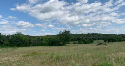 Saint-Bauzille-de-Montmel Terrain à bâtir - 2366565-609annonce120251212OTFEx.jpeg Maisons Open