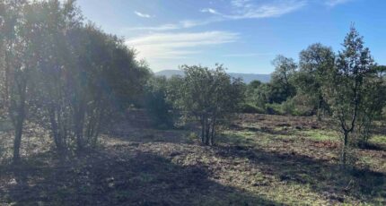 Lauris Terrain à bâtir - 2373121-7060annonce120260217rXrVG.jpeg Maisons Open