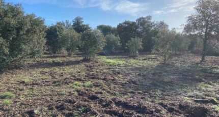 Lauris Terrain à bâtir - 2373121-7060annonce220260217PDdzs.jpeg Maisons Open