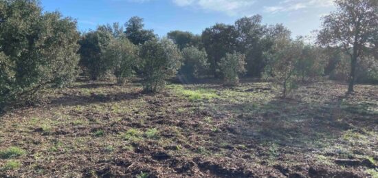 Terrain à bâtir à , Vaucluse