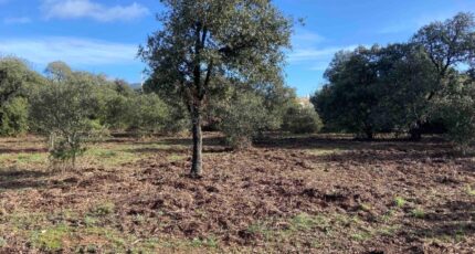 Lauris Terrain à bâtir - 2373121-7060annonce320260217lFxbm.jpeg Maisons Open