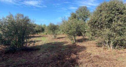 Lauris Terrain à bâtir - 2373121-7060annonce42026021702idS.jpeg Maisons Open