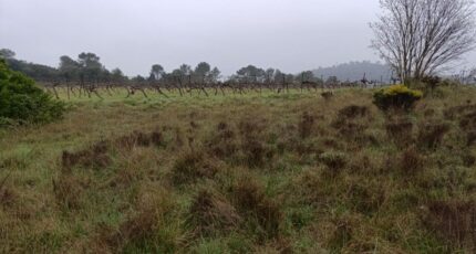 Valflaunès Terrain à bâtir - 2398122-3243annonce2202508275N6GS.jpeg Maisons Open