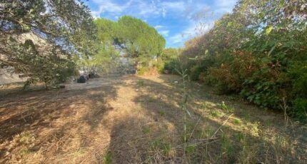 Le Muy Terrain à bâtir - 2399349-10295annonce220260120qcg04.jpeg Maisons Open